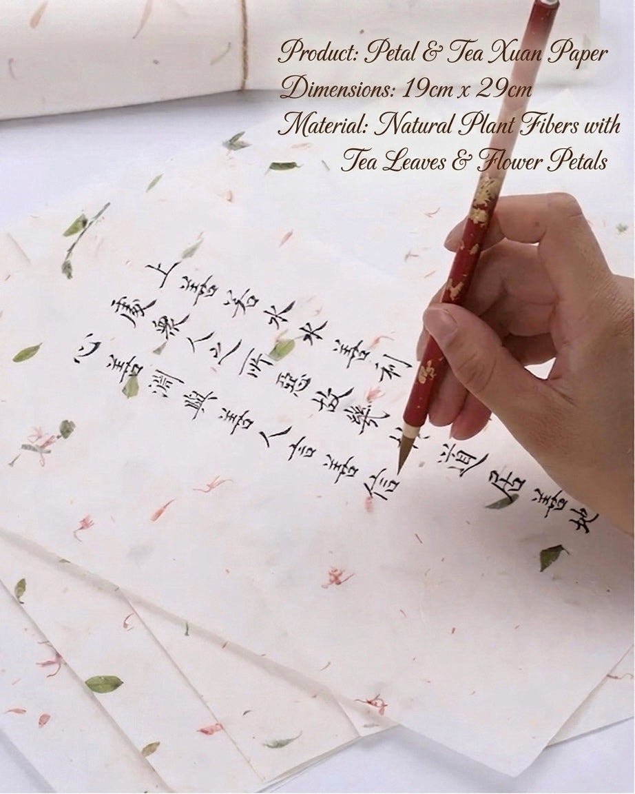 Blossom - The Lotus & Glass Collection（粉色治愈 · 莲语）